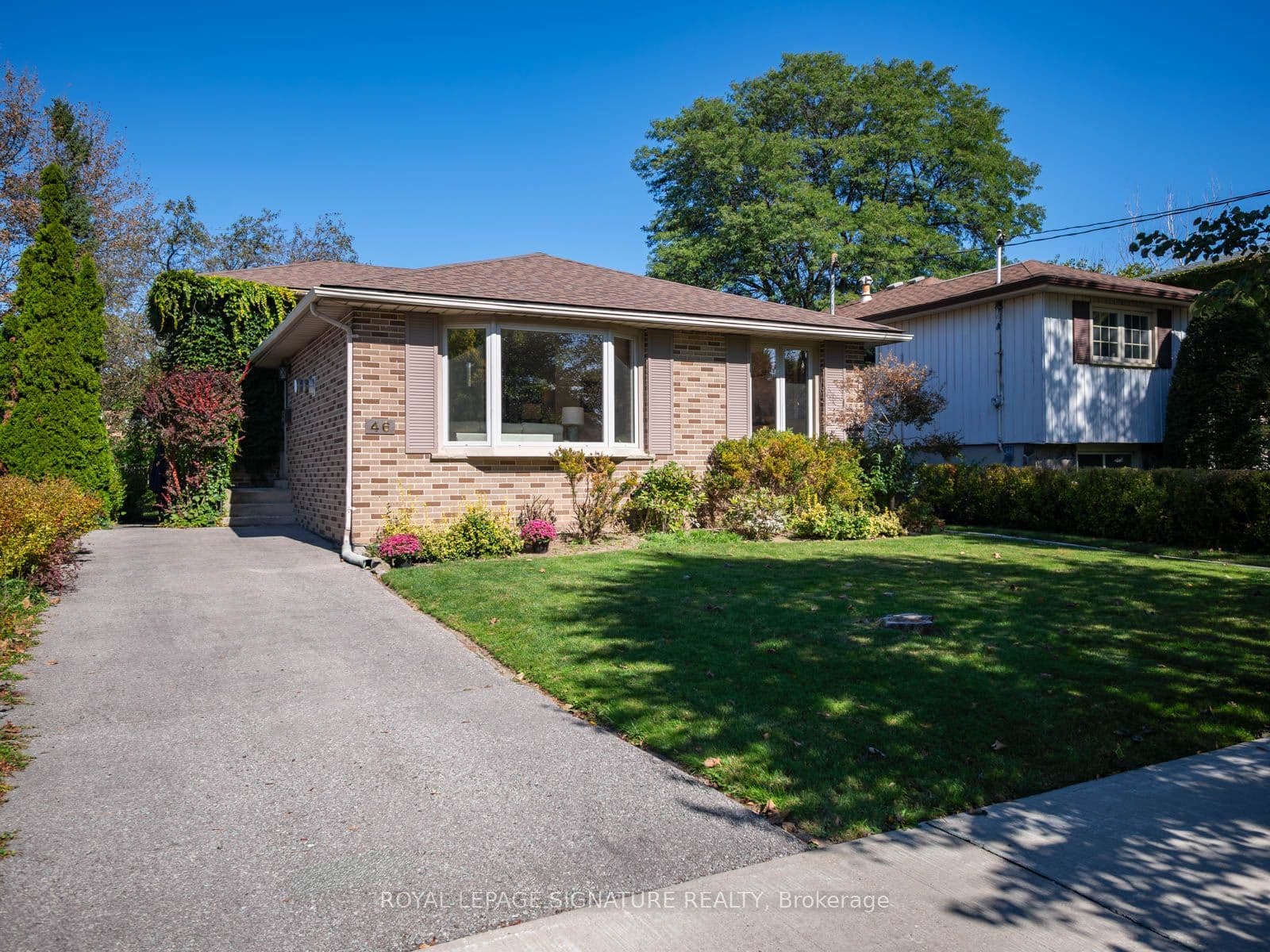 Main Property