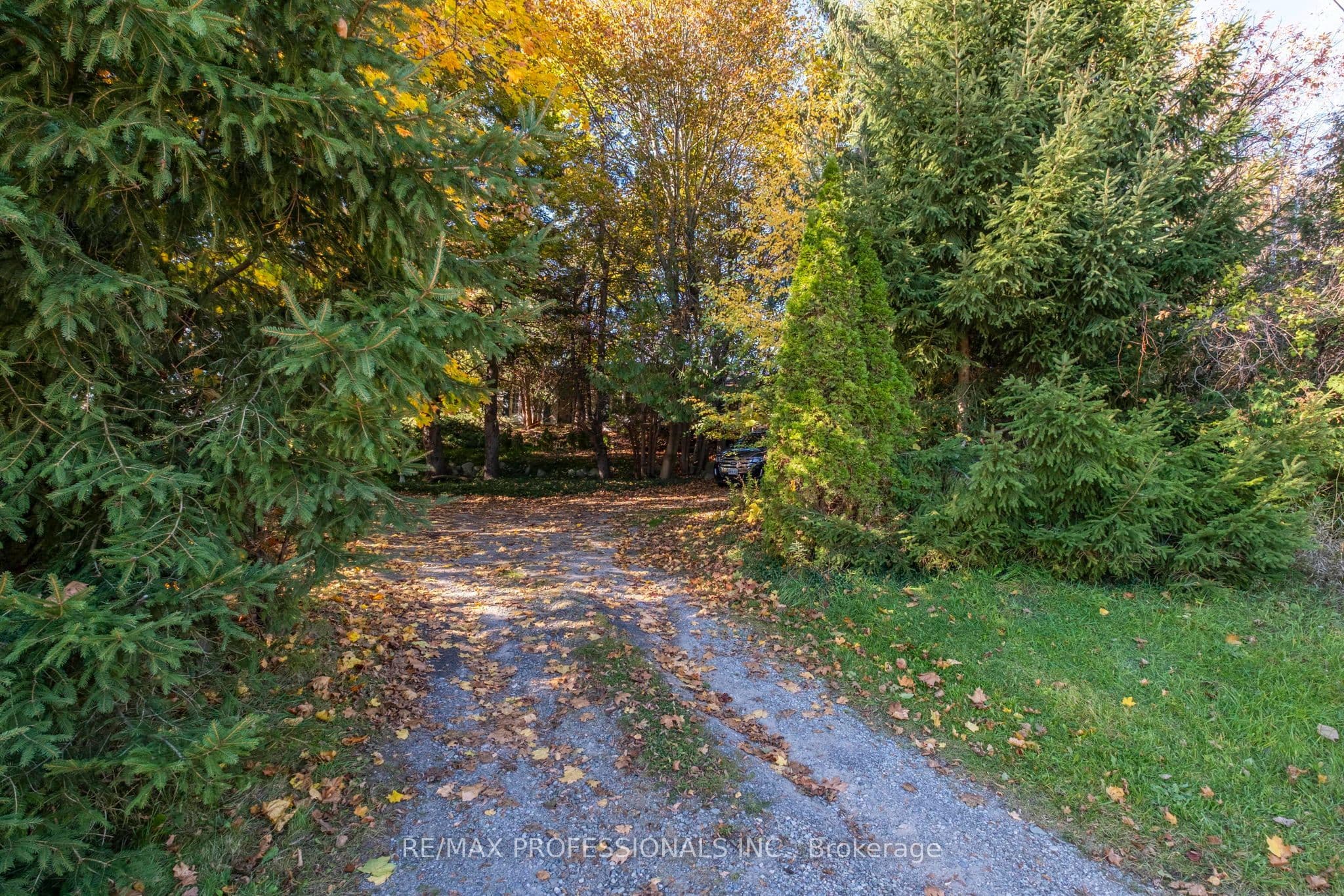 Main Property