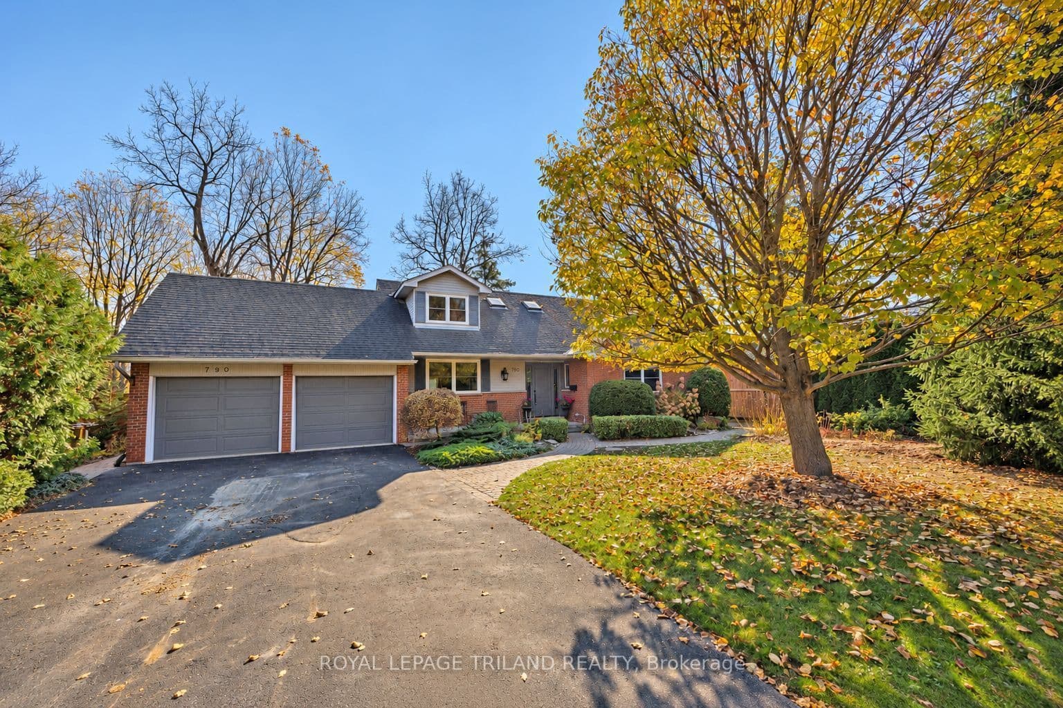 Main Property
