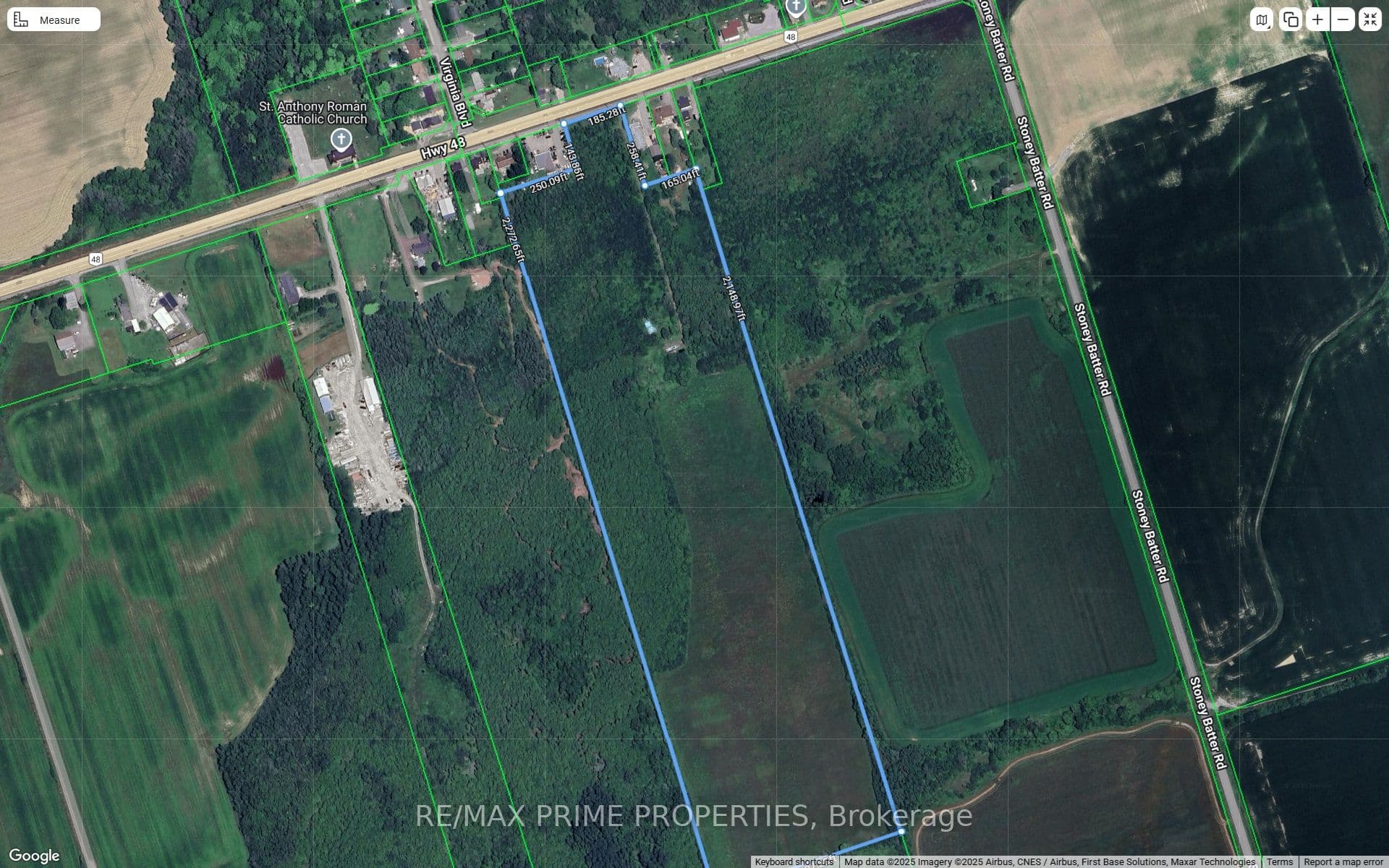 Main Property