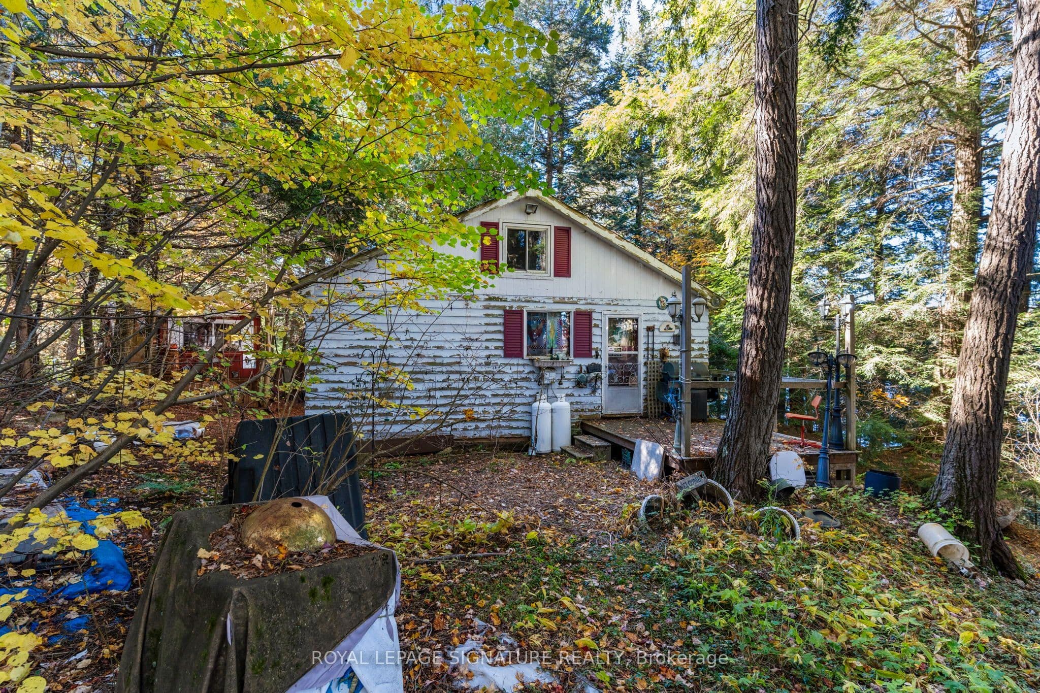 Main Property