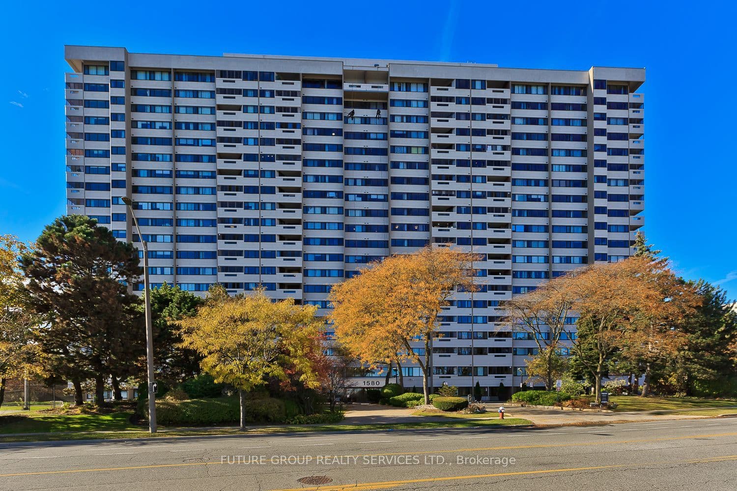 Main Property