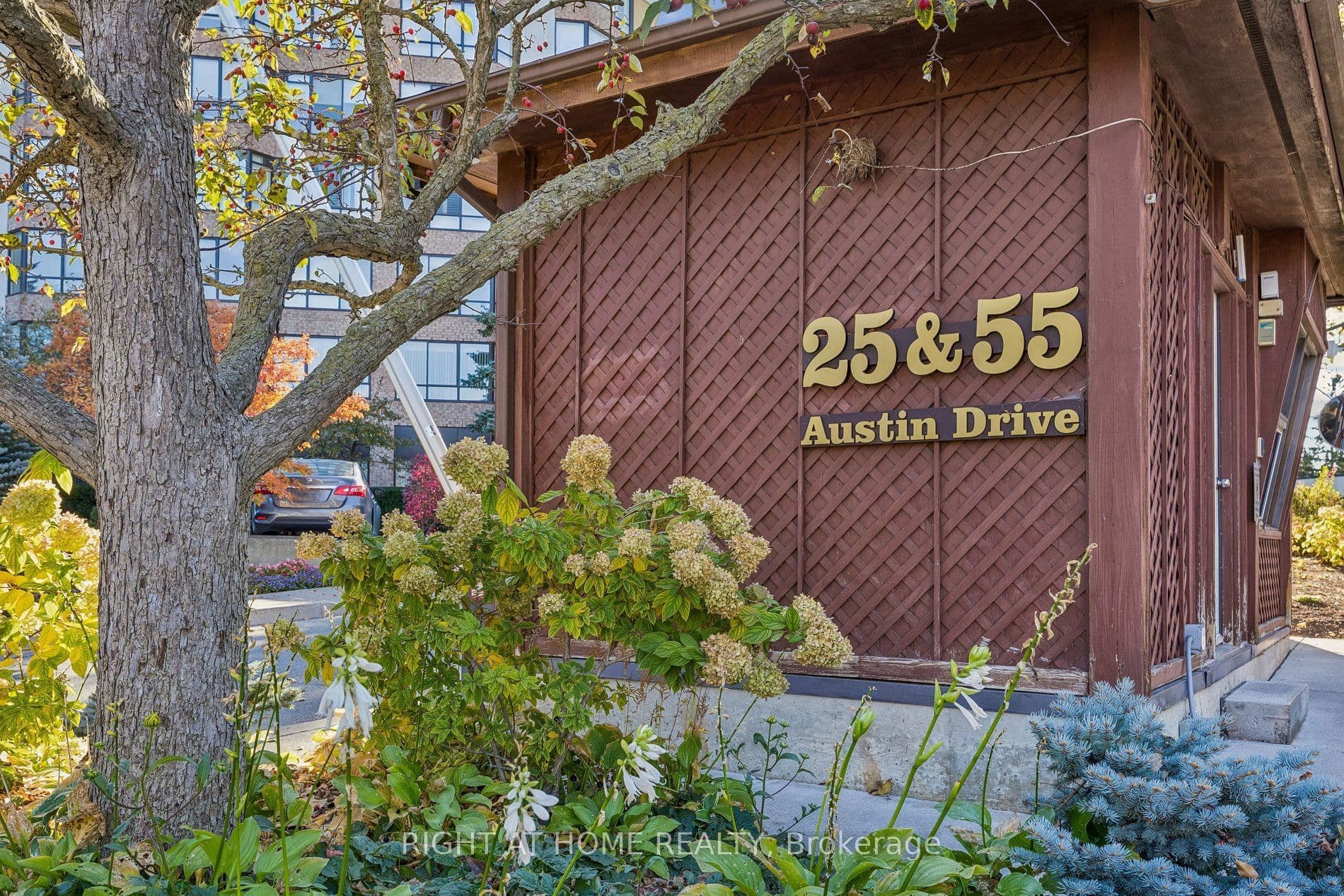 Main Property