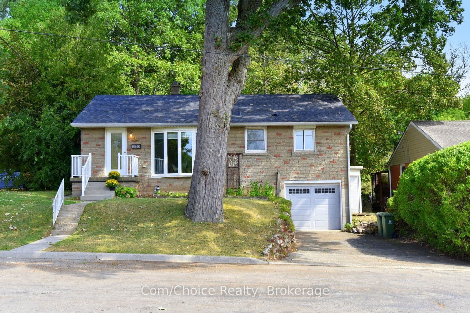 Main Property