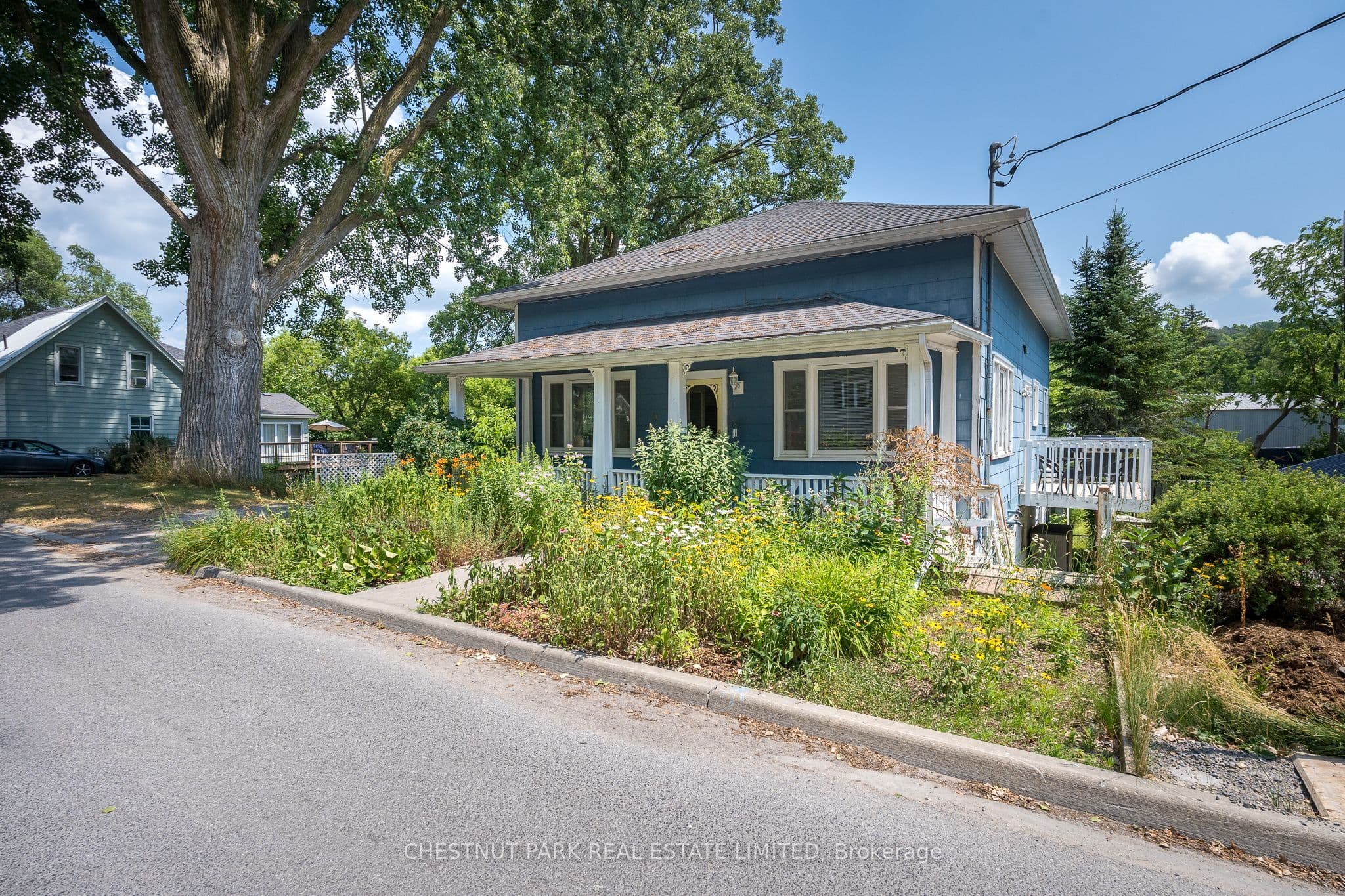 Main Property