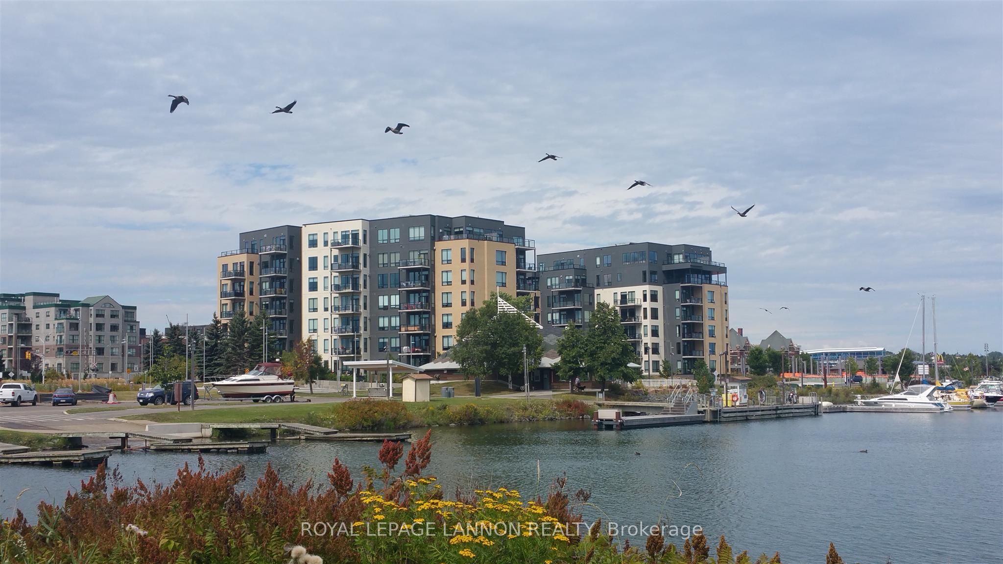 Listing 142953 Image