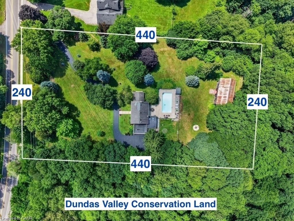 Main Property