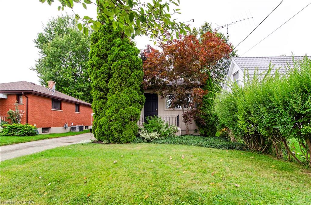 Listing 271910 Image