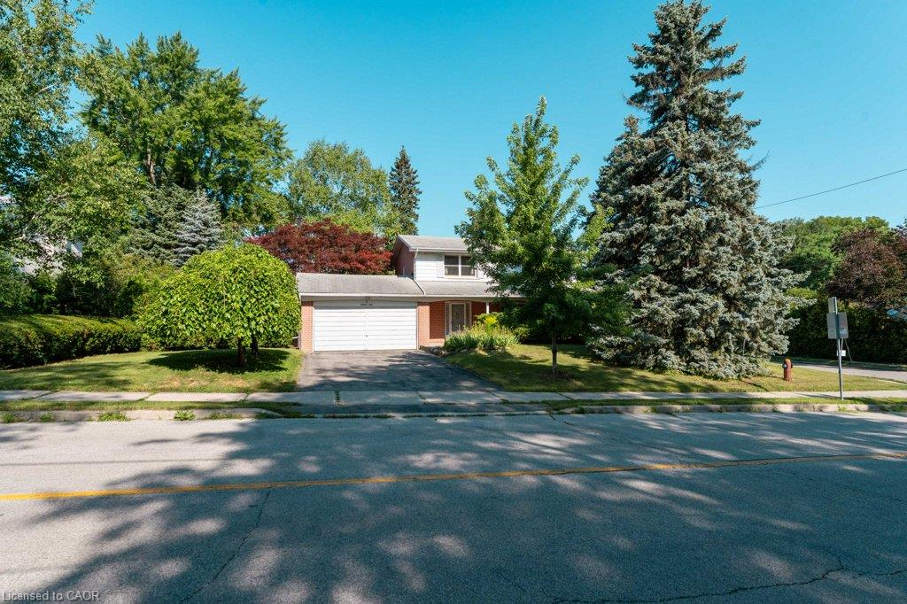 Listing 238489 Image