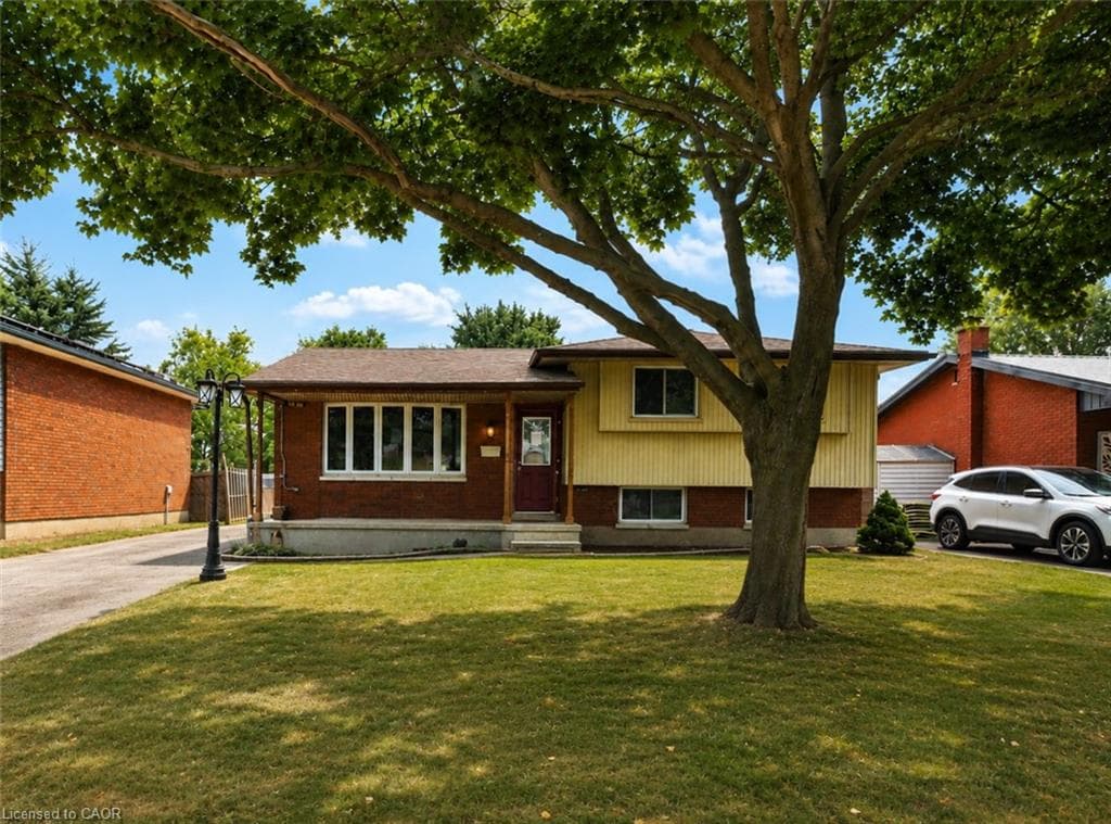 Main Property