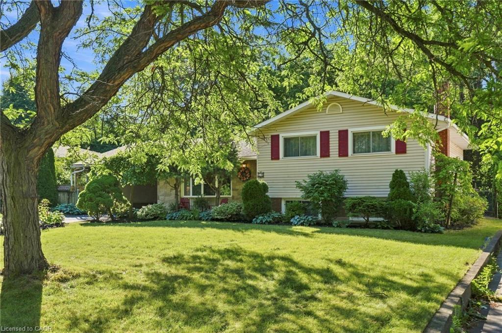 Listing 237379 Image