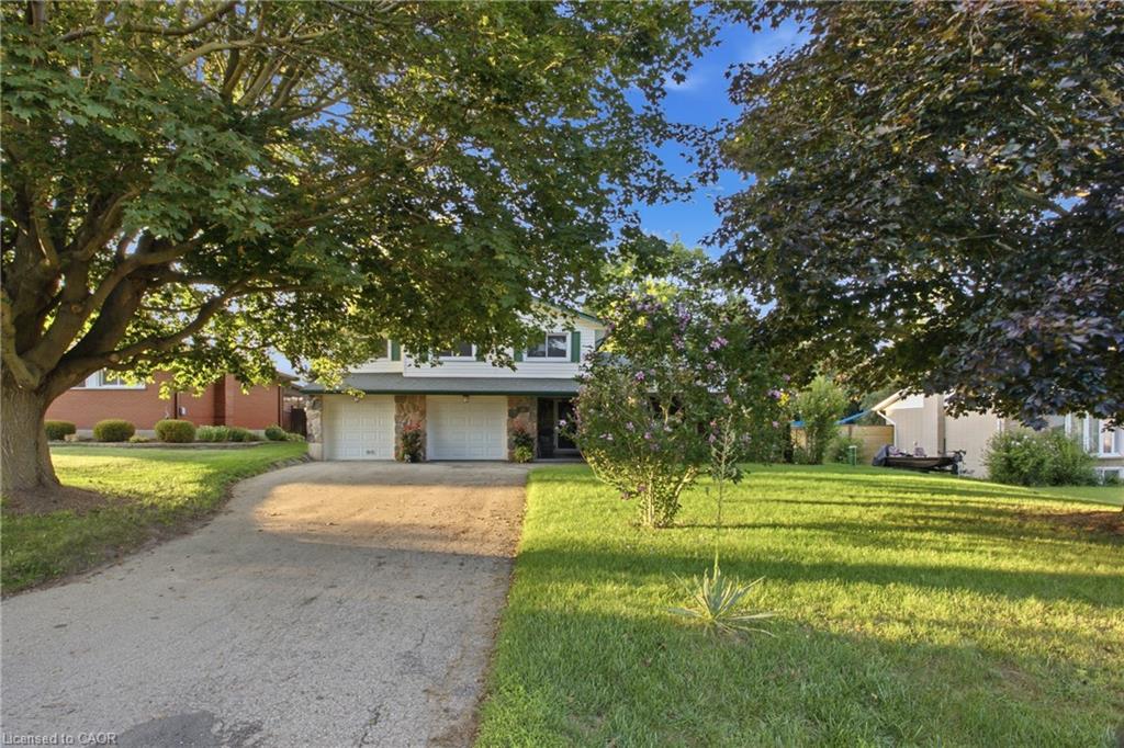 Main Property
