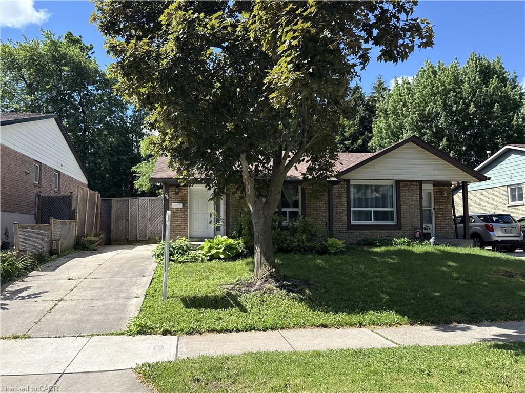 Listing 244129 Image