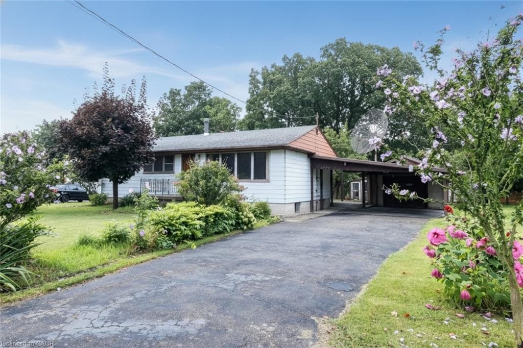 Listing 285572 Image