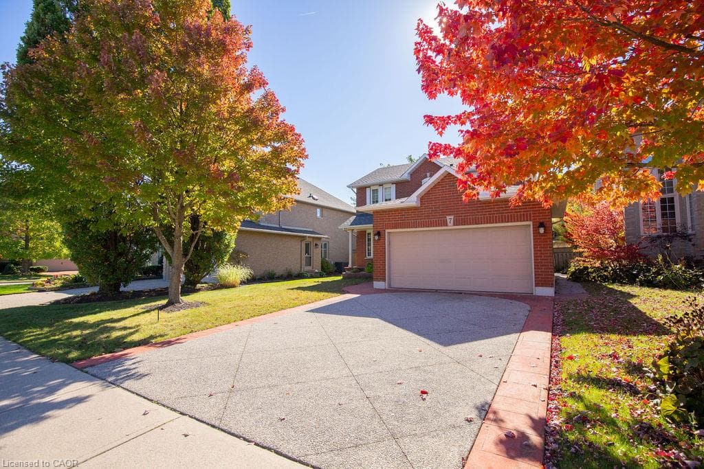 Main Property