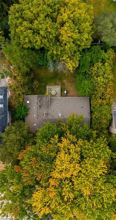 Listing 341595 Image