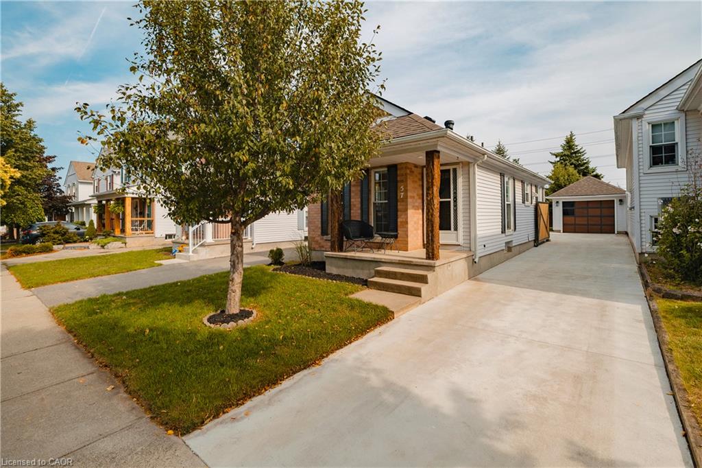 Listing 257546 Image