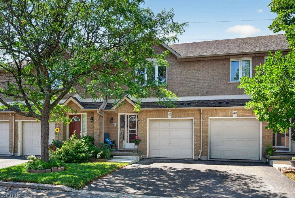 Listing 187254 Image
