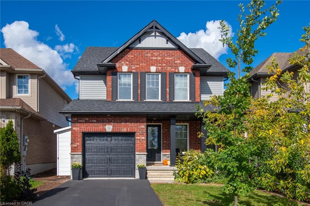 Main Property