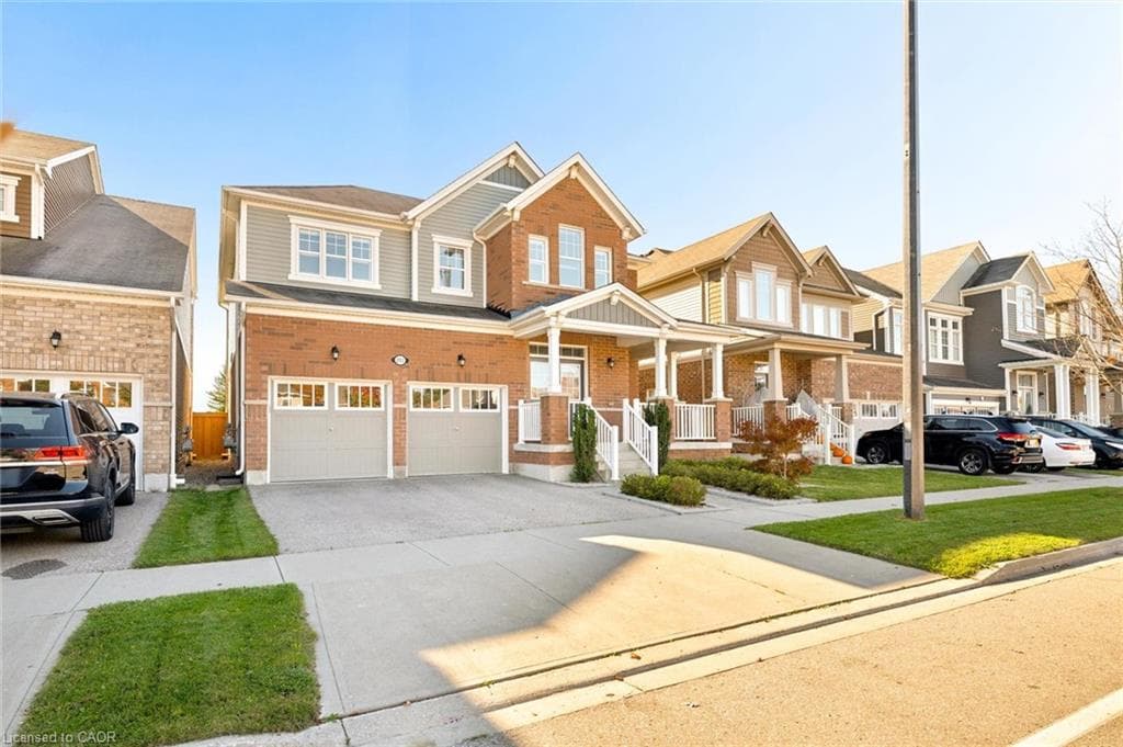 Main Property