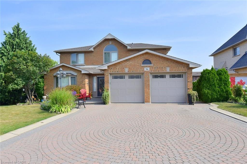 Main Property