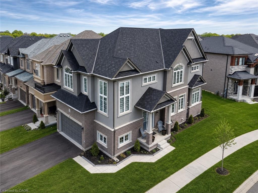 Main Property