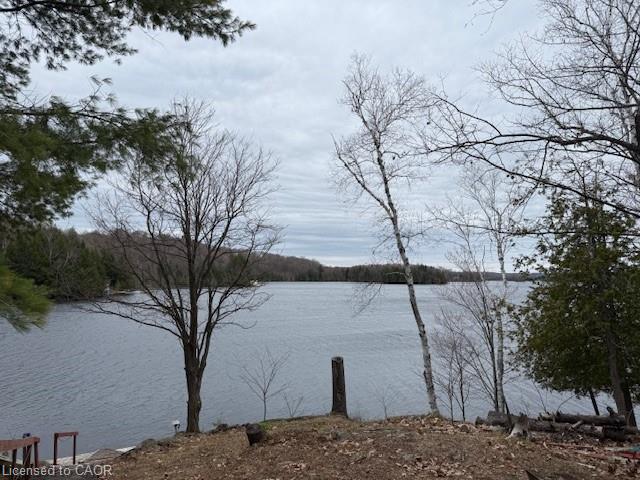 Listing 219776 Image