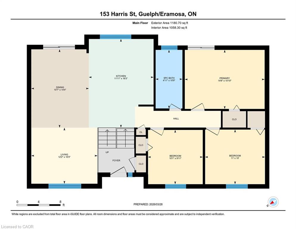Main Property