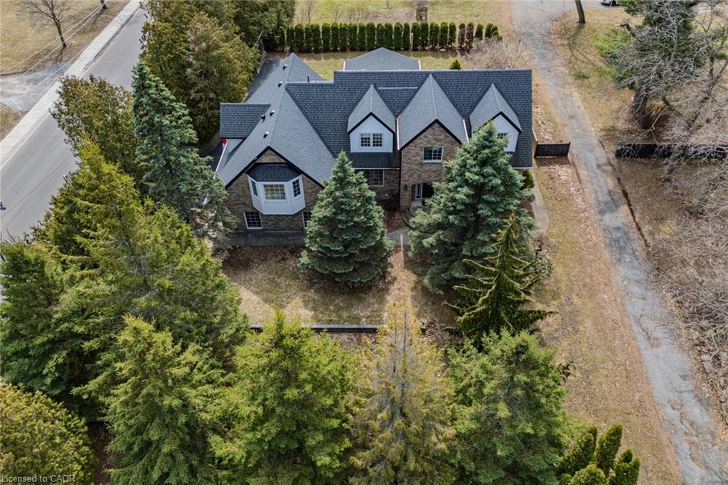 Main Property