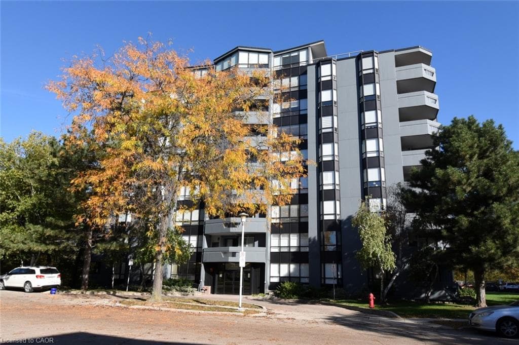 Main Property