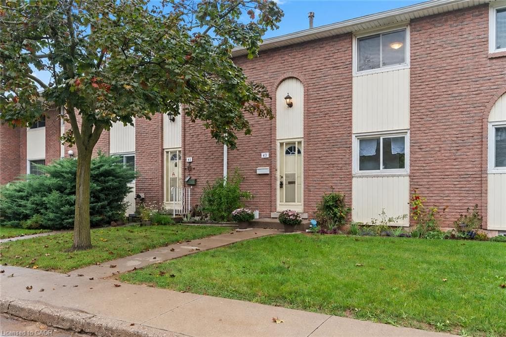 Main Property