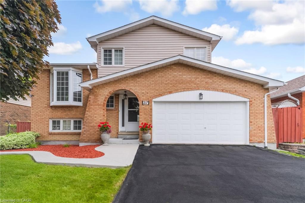 Listing 172181 Image