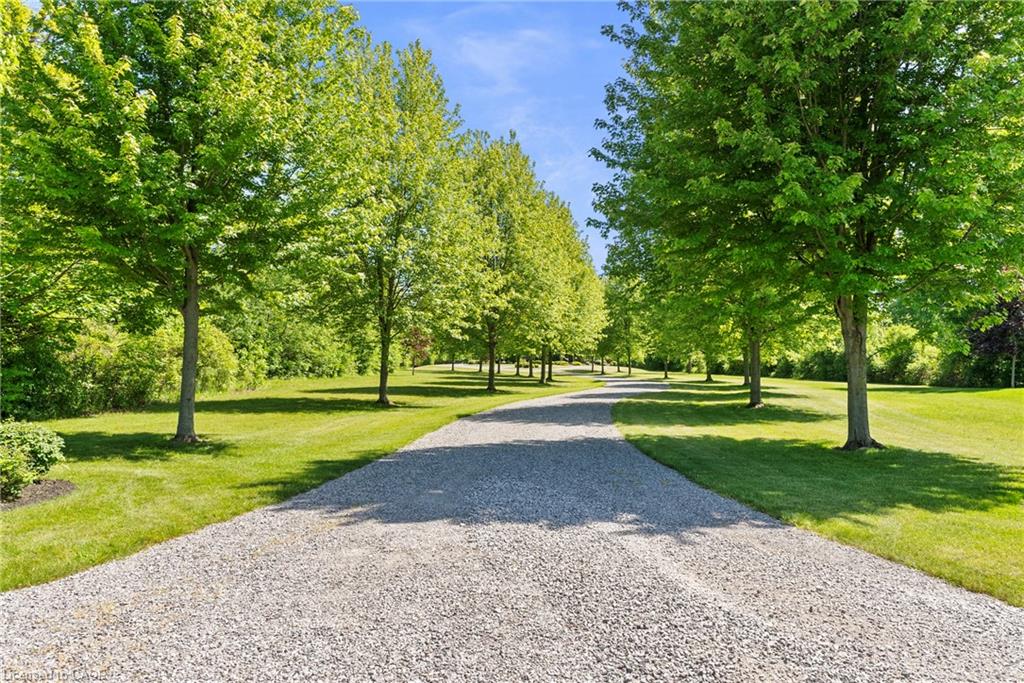 Listing 119260 Image