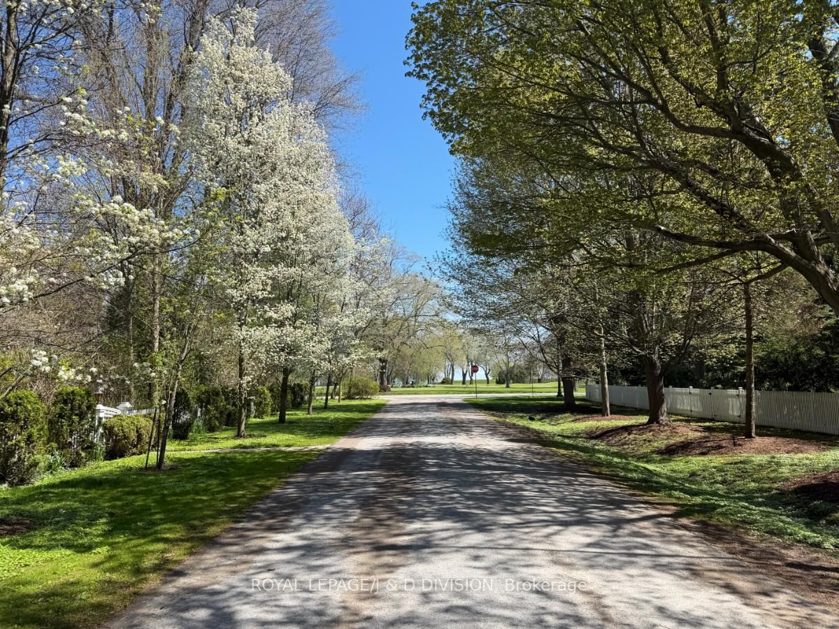 Listing 19604 Image