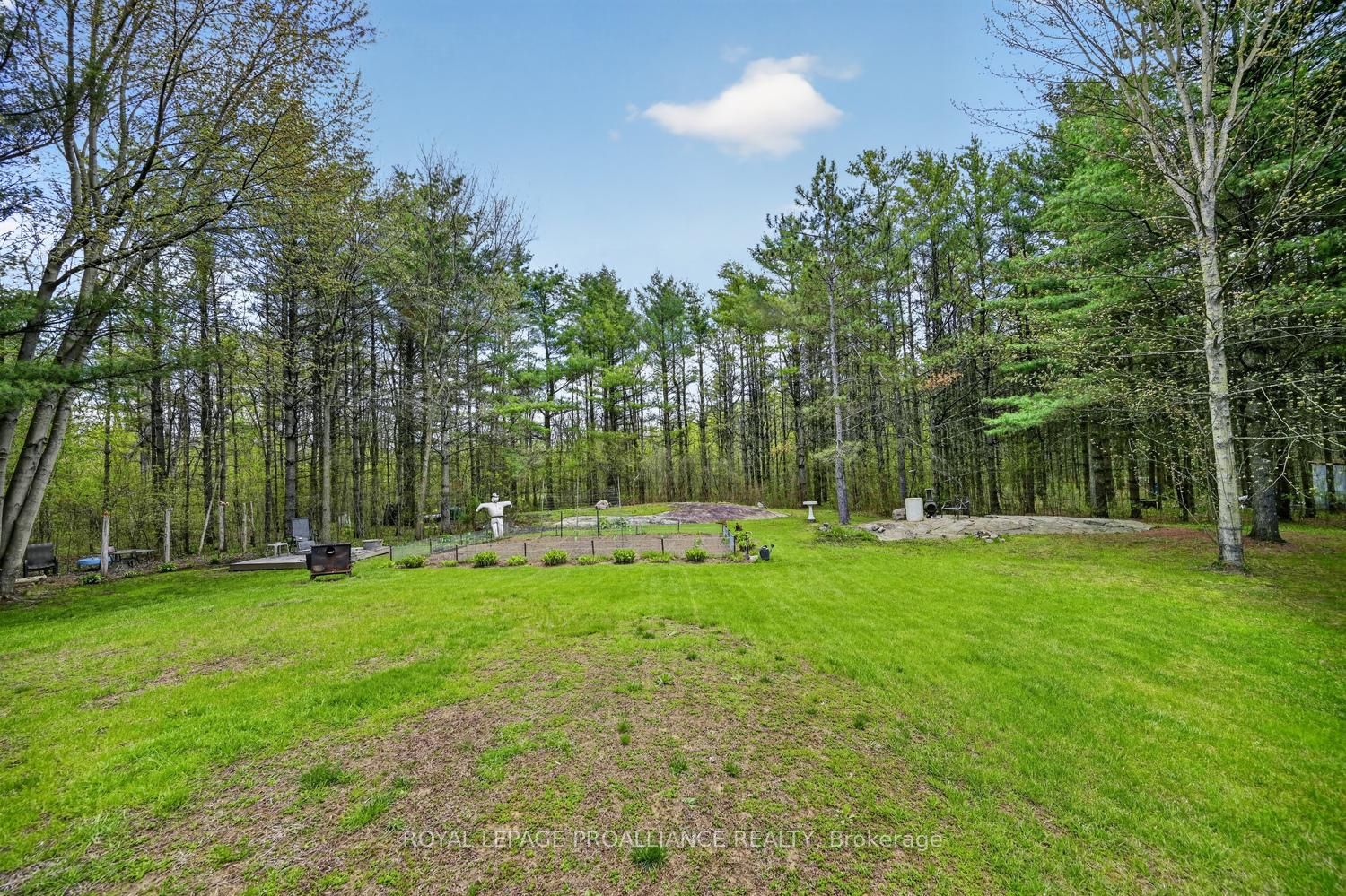 Listing 11269 Image