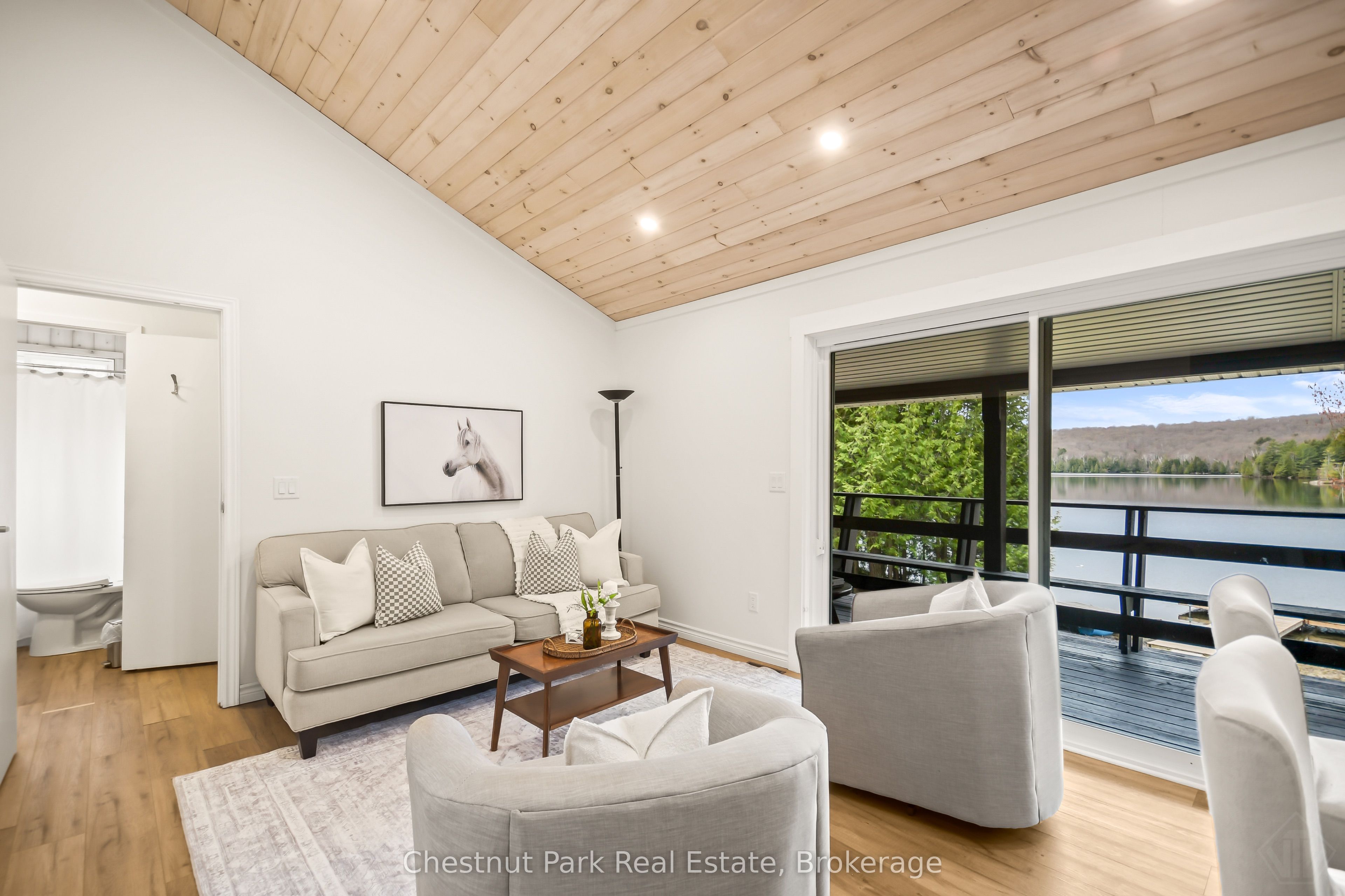 Listing 17488 Image