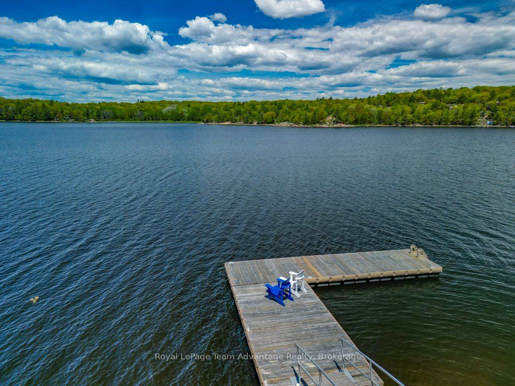 Listing 17119 Image