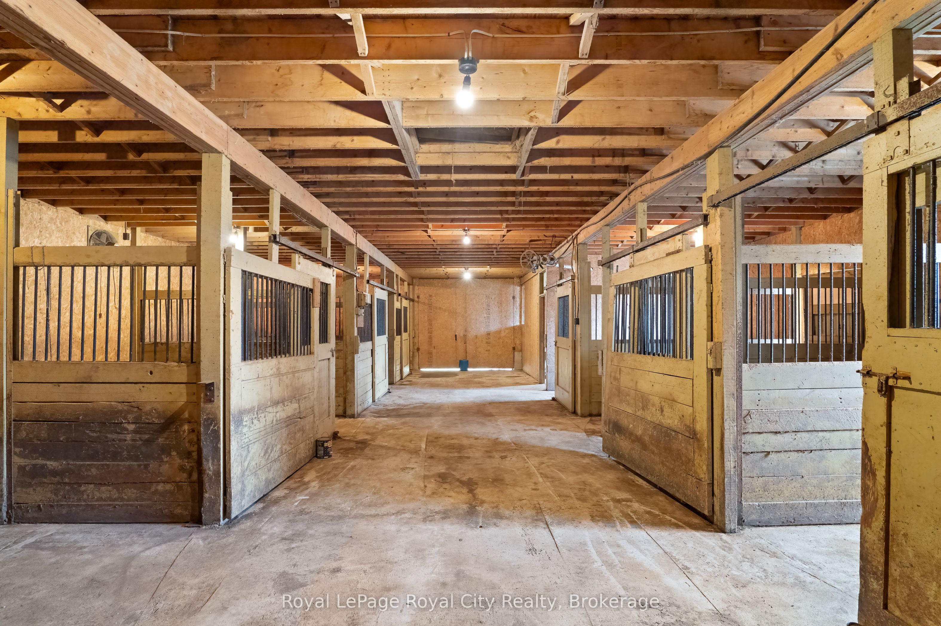 Listing 955 Image