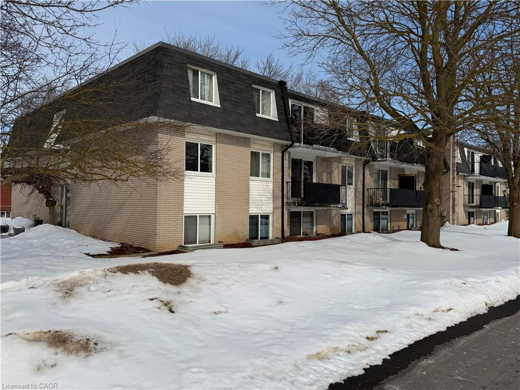 Listing 243928 Image