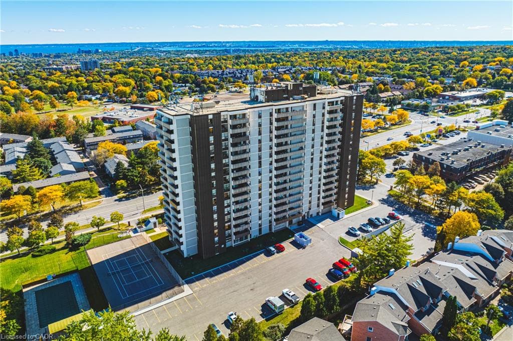 Listing 351470 Image