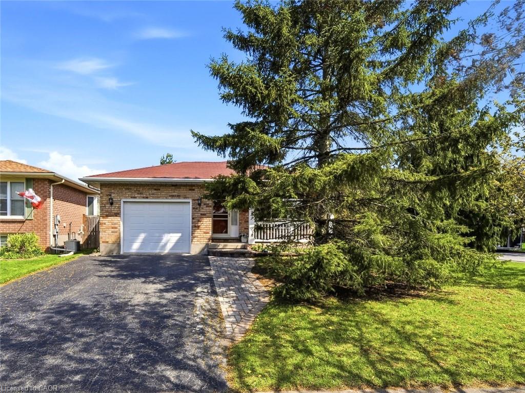 Listing 68084 Image