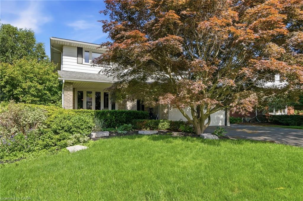 Listing 146877 Image