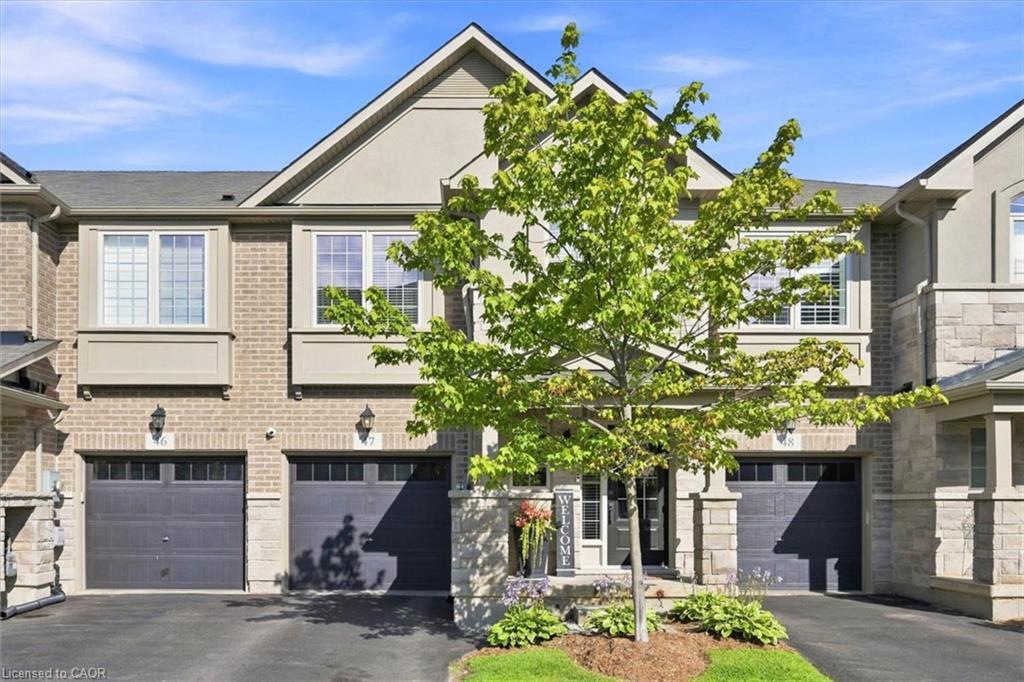 Listing 265401 Image