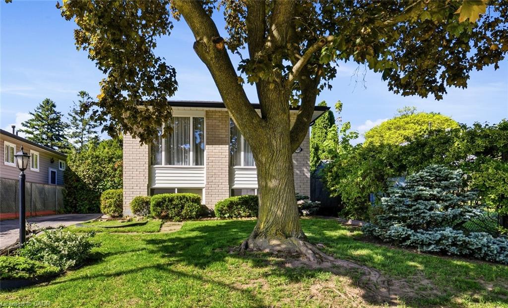 Listing 51746 Image