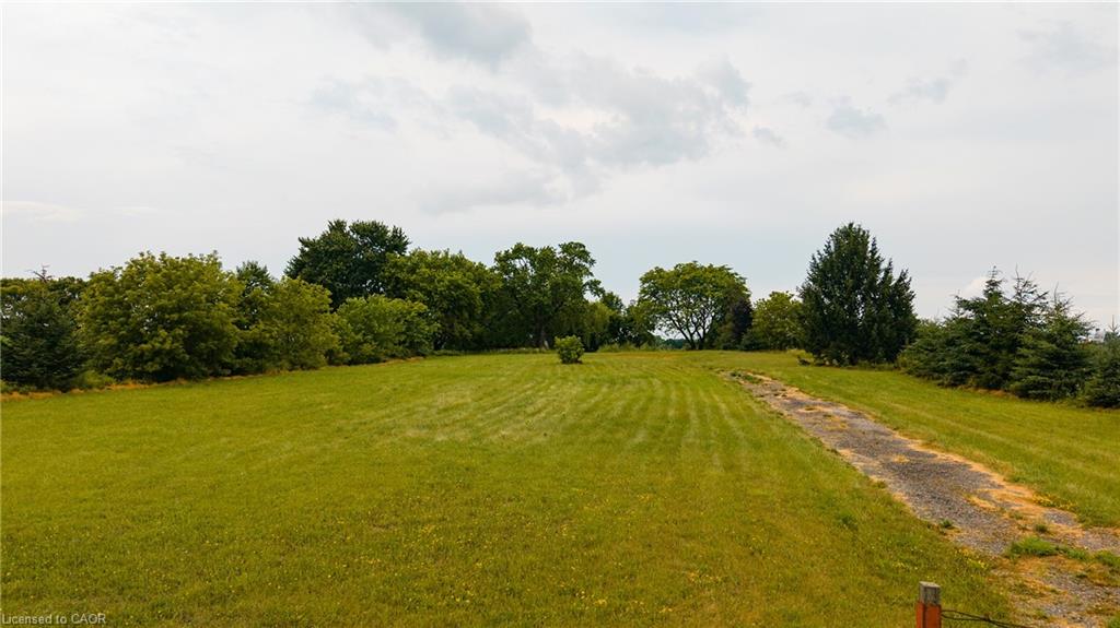 Listing 187624 Image