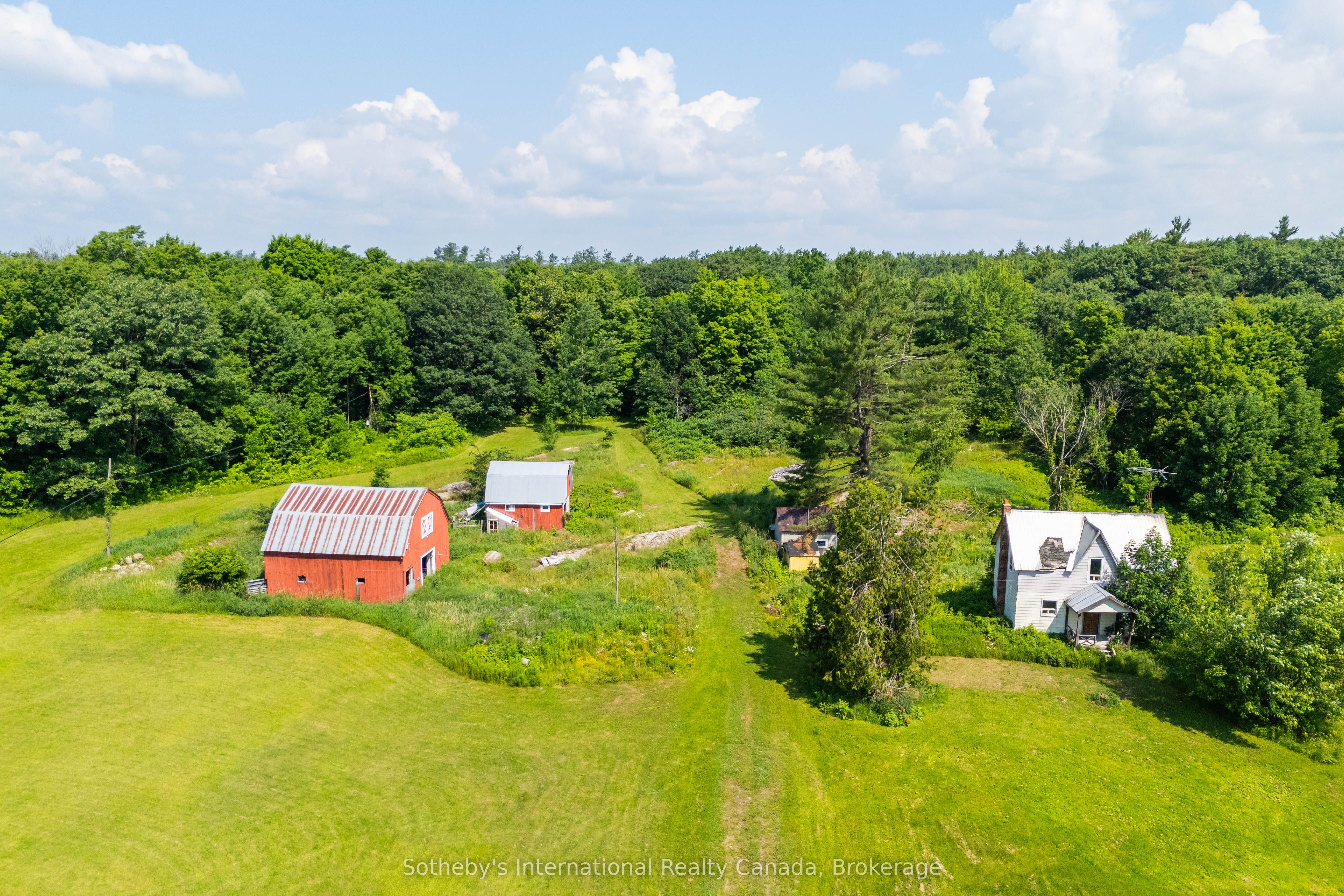 Listing 257507 Image