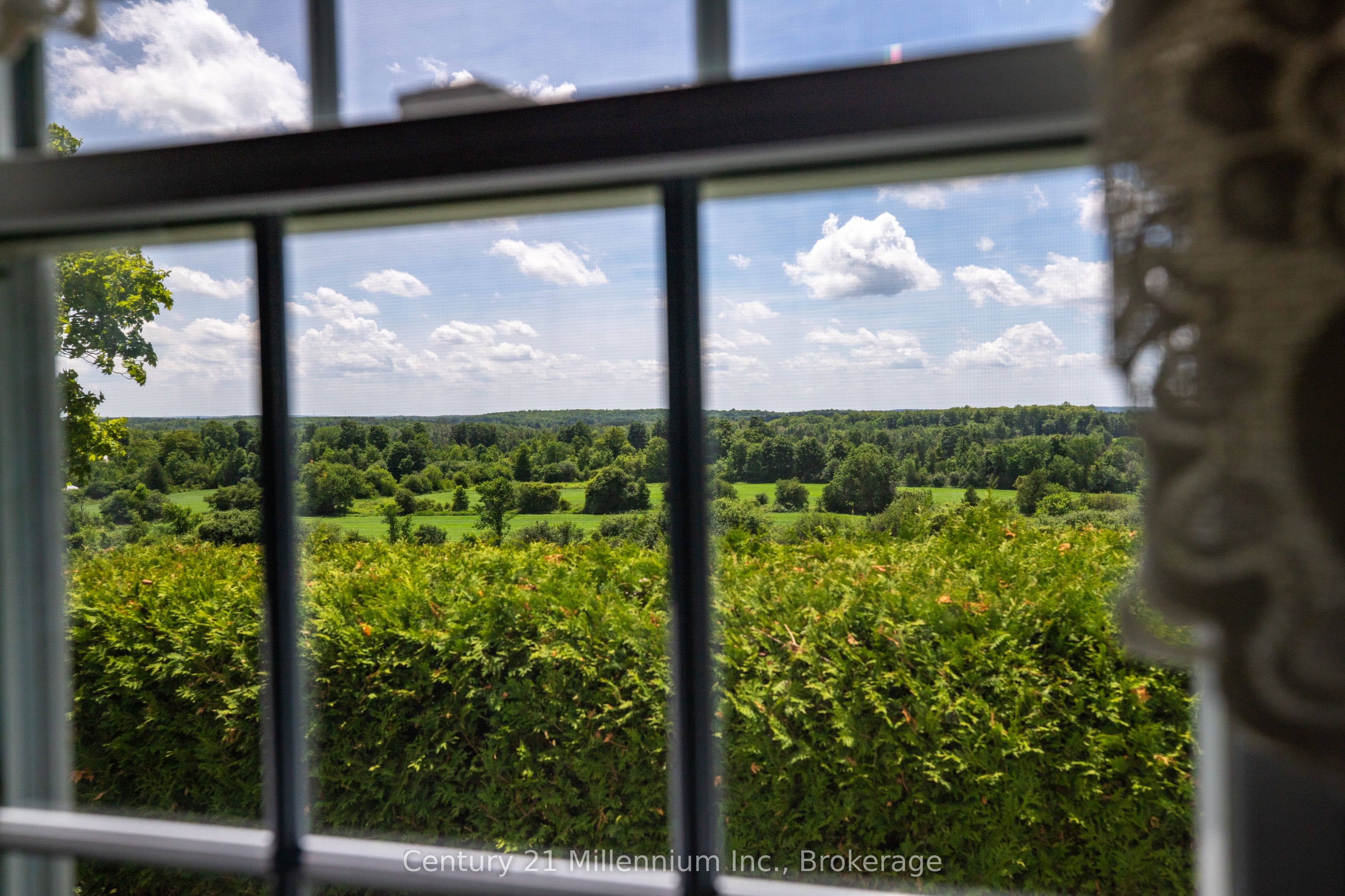 Listing 96083 Image