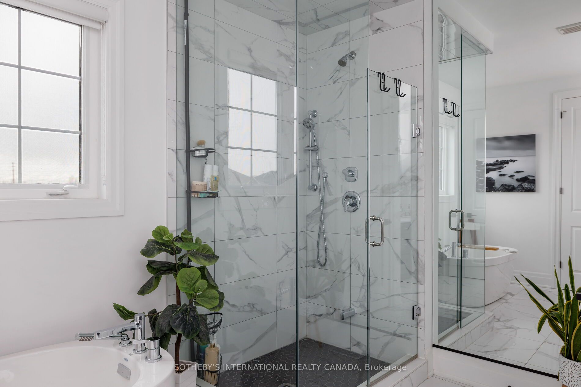 Listing 64672 Image