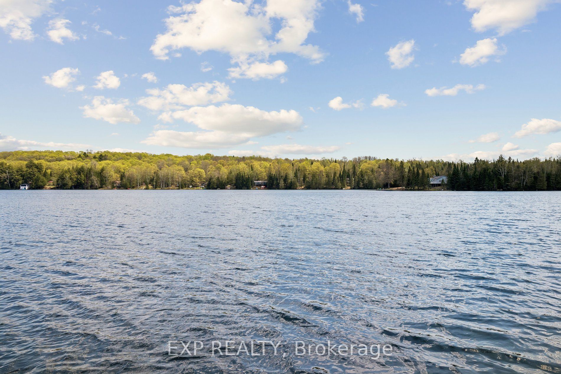 Listing 51928 Image
