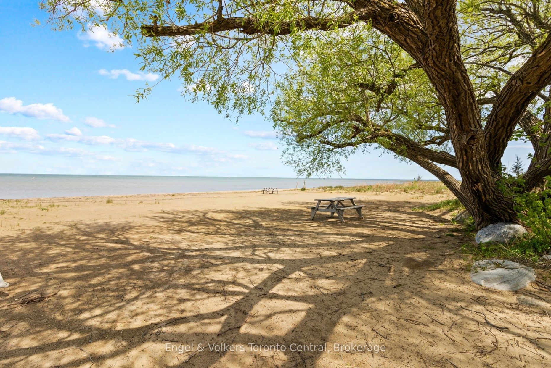 Listing 35794 Image